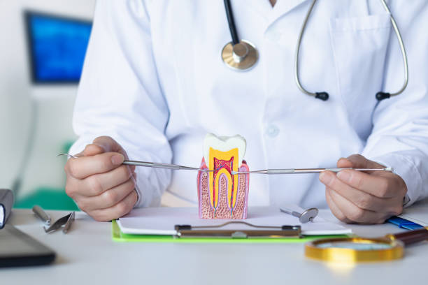 Best Emergency Treatment for Toothache in Lebanon, MO